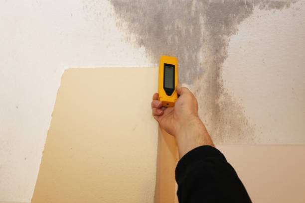Best Mold Documentation for Insurance Claims  in Oakleaf Plantation, FL