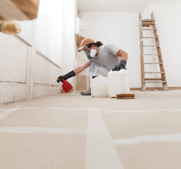 Best Forensic Mold Investigation  in Oakleaf Plantation, FL